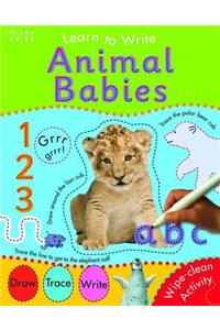 Animal Babies