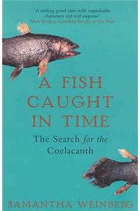 Fish Caught in Time