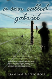 A Son Called Gabriel