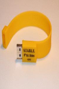 The S.T.A.B.L.E. Program:  Learner/Provider Course Slides on USB Flash Drive