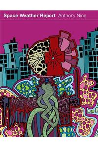 Space Weather Report