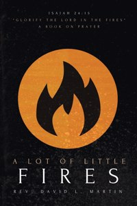 Lot Of Little Fires