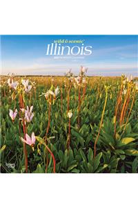 Illinois Wild & Scenic 2021 Square