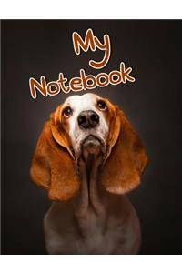 My Notebook