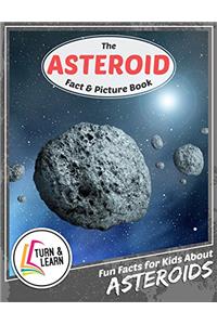 The Asteroid Fact and Picture Book