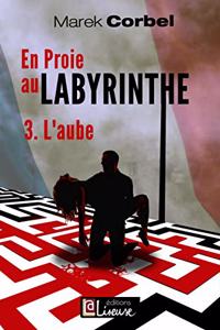 En proie au labyrinthe