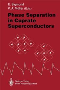 Phase Separation in Cuprate Superconductors