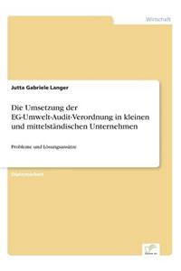 Die Umsetzung der EG-Umwelt-Audit-Verordnung in kleinen und mittelständischen Unternehmen