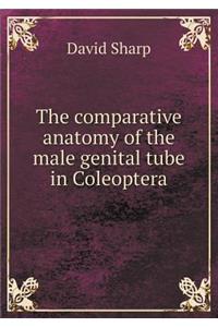 The Comparative Anatomy of the Male Genital Tube in Coleoptera