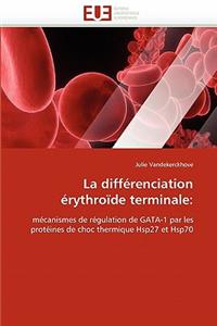 différenciation érythroïde terminale