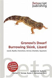 Gronovi's Dwarf Burrowing Skink, Lizard