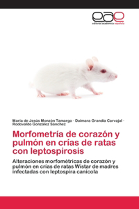 Morfometría de corazón y pulmón en crías de ratas con leptospirosis