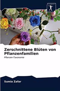 Zerschnittene Blüten von Pflanzenfamilien