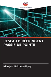 Réseau Biréfringent Passif de Pointe
