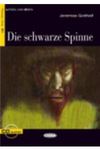 Schwarze Spinne