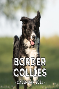 Border Collies