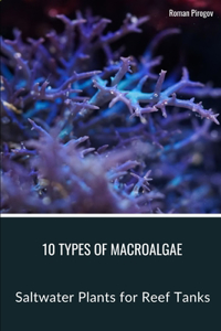 10 Types of Macroalgae