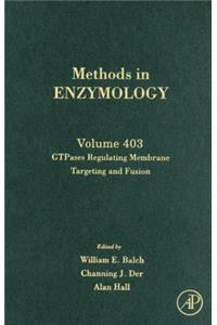 GTPases Regulating Membrane Targeting and Fusion: Volume 403 (Methods in Enzymology): Volume 403