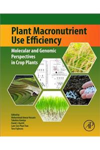 Plant Macronutrient Use Efficiency