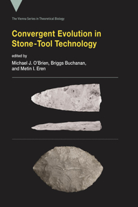 Convergent Evolution in Stone-Tool Technology