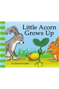 Little Acorn Grows Up