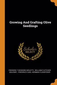 Growing And Grafting Olive Seedlings