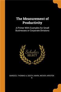 The Measurement of Productivity