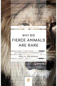 Why Big Fierce Animals Are Rare