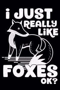 I Just Really Like Foxes OK?