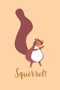 Squirrel!