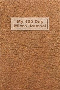 My 100 Day Micro Journal