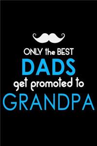 Only The Best Dads Get Promoted To Grandpa