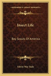 Insect Life