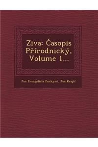 Ziva