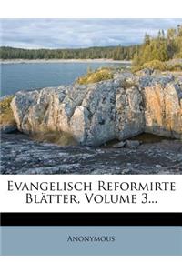 Evangelisch Reformirte Blatter, Volume 3...