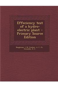Effeciency Test of a Hydro-Electric Plant