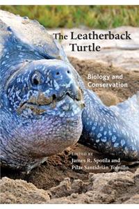 The Leatherback Turtle