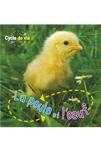 Cycle de Vie: La Poule Et l'Oeuf