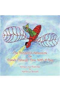 The Poinsettia Adventure