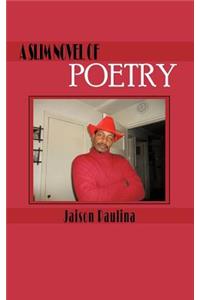 Slim Novel of Poetry