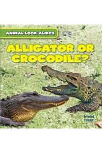 Alligator or Crocodile?