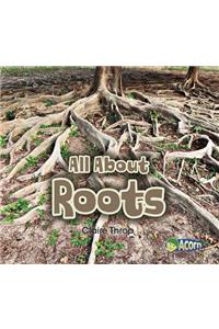 All about Roots