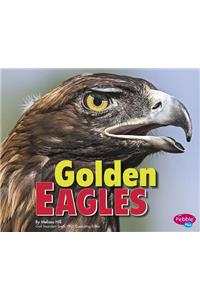 Golden Eagles