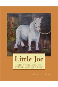 Little Joe