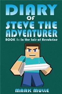Diary of Steve the Adventurer (Book 1)