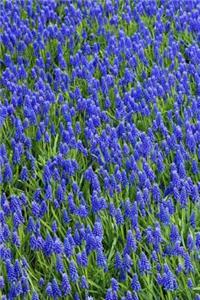 Mind Blowing Blue Bonnet 200 page lined journal