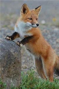MindBlowing Cut Animal Fox Journal 20