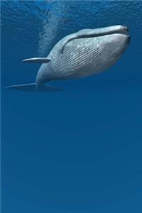 The Blue Whale Journal