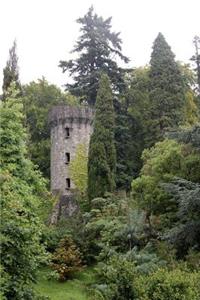 Powerscourt Garden Castle Ireland