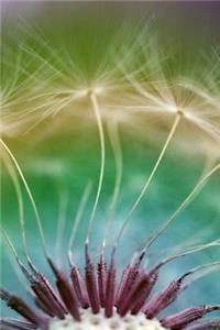 Journal Dandelion Flower Seeds Close Up